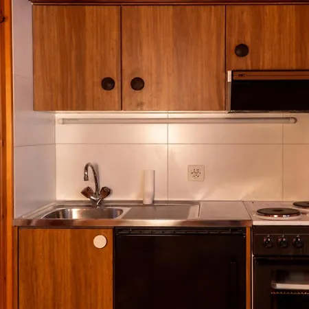 Gemuetliches Mit Aussicht Und Skiraum Apartment *