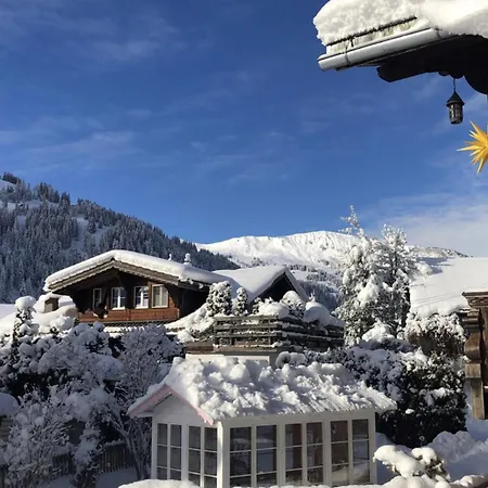 Gemuetliches Mit Aussicht Und Skiraum Sankt Stephan